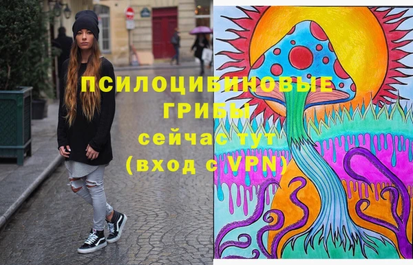 прущая мука Белокуриха
