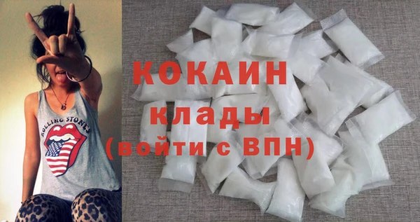 крисы Баксан