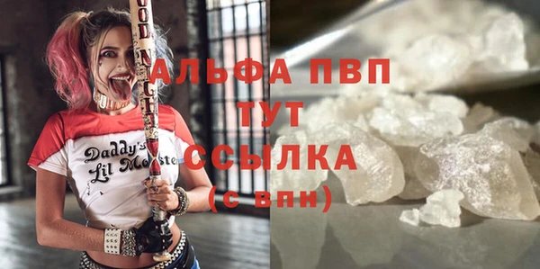 крисы Баксан